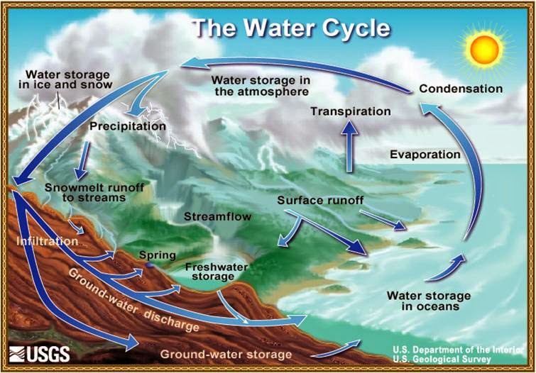 Environmental Sciences The Water Cycle
