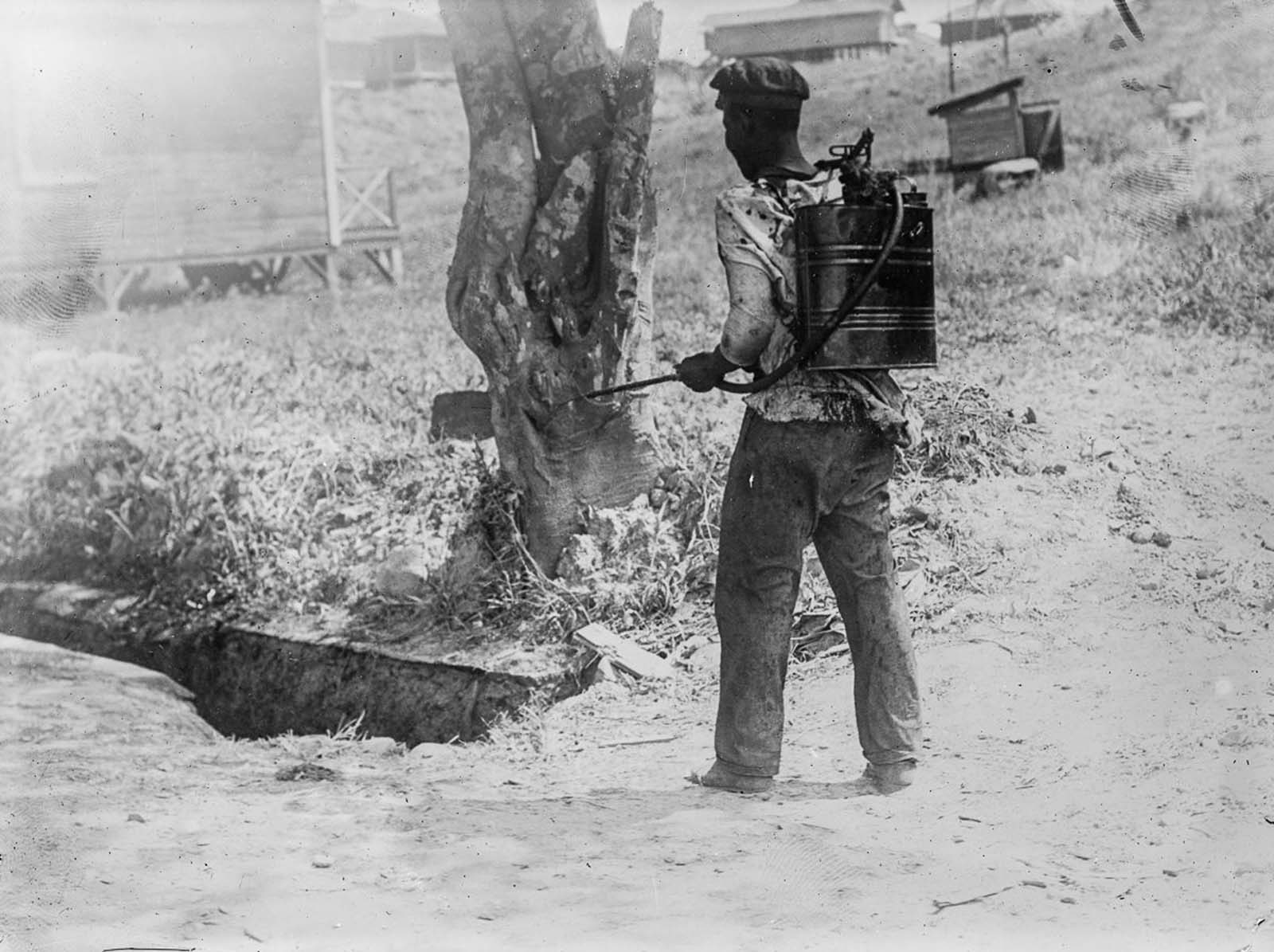 Szúnyogpusztító a csatornazónában.  1910.