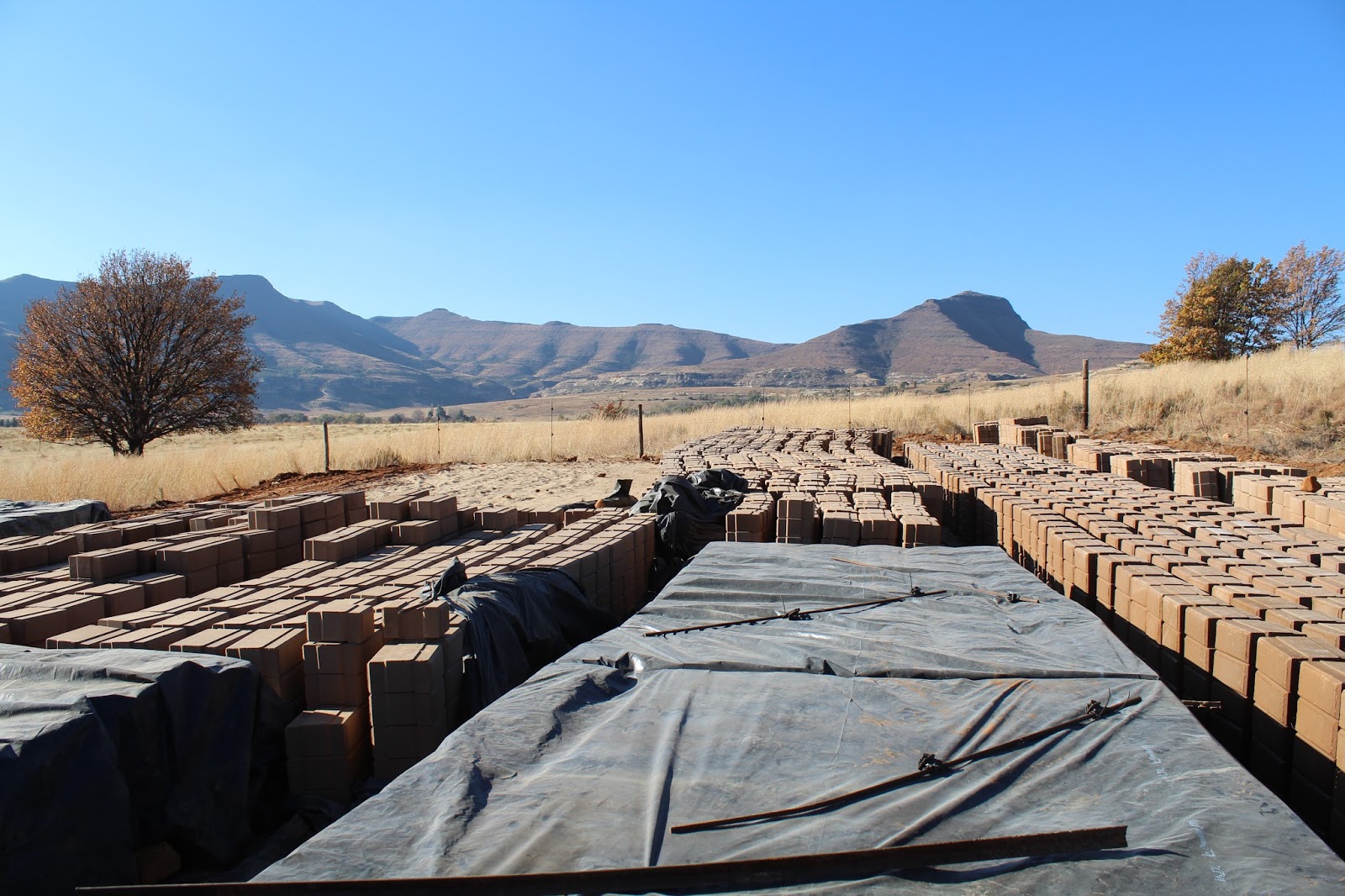 The Agri Handbook Blog: Rustler's Valley: Naledi Village Farmers' Co ...