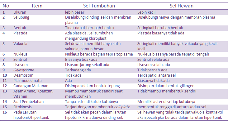 Persamaan dan  Perbedaan  antara  Sel Hewan  dan  Tumbuhan  