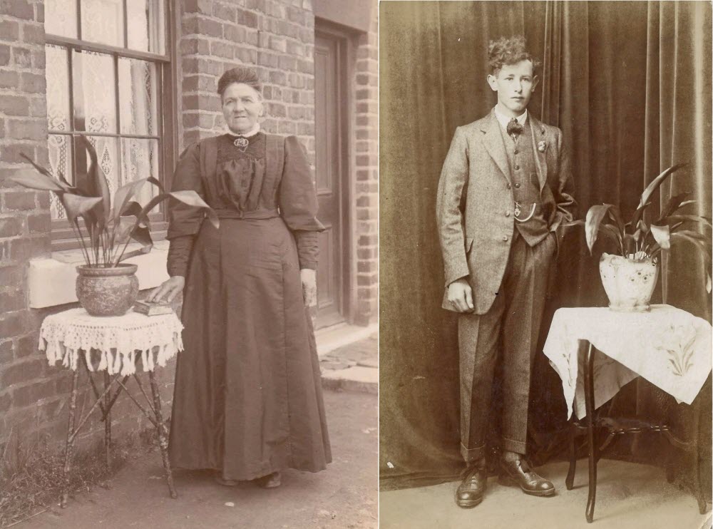 Aspidistra victorian photographs