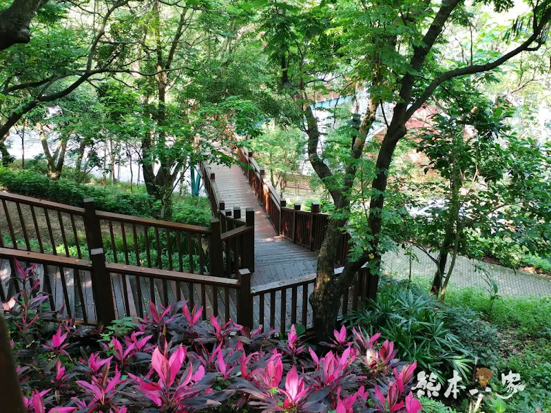 苗栗飛牛牧場親子住宿|牧場原墅家庭房|森林芬多精相伴的童趣屋