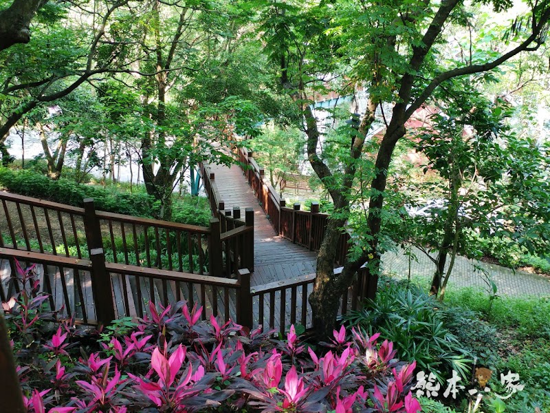 苗栗飛牛牧場親子住宿|牧場原墅家庭房|森林芬多精相伴的童趣屋