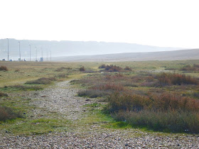 Path between Chesil Beach and the causeway to Portland. March 1st 2015.