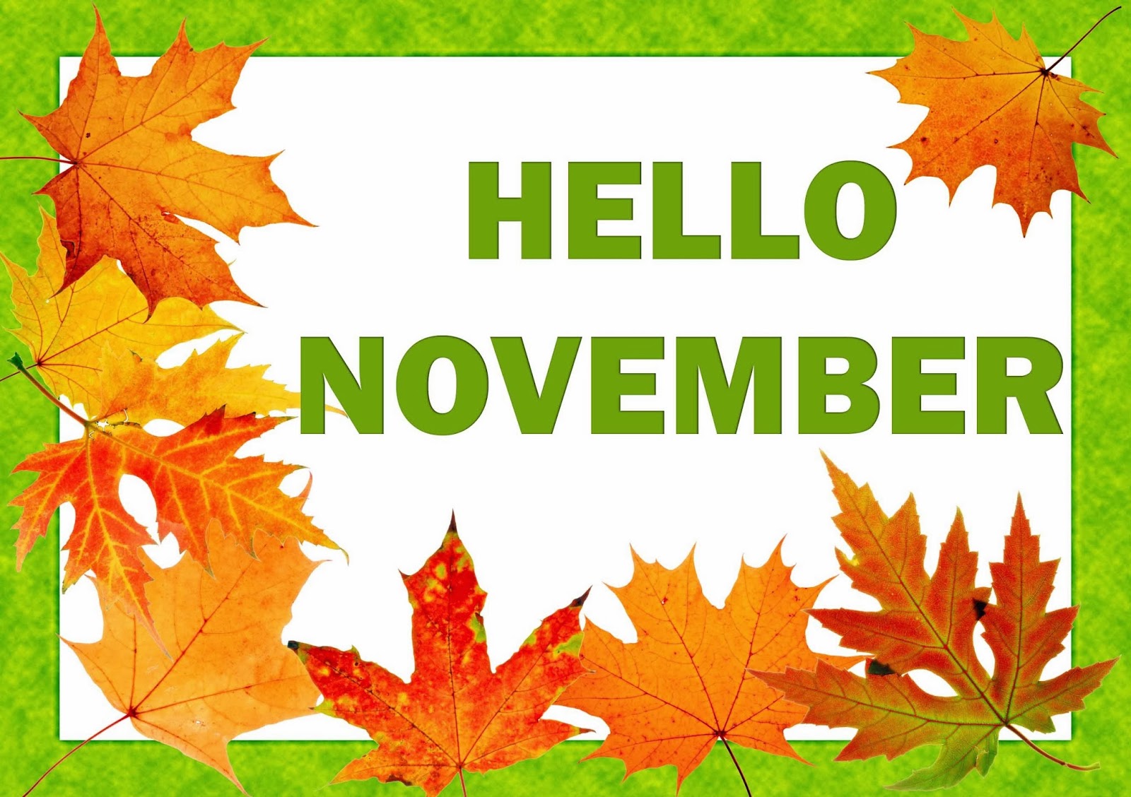 bards-and-tales-hello-november