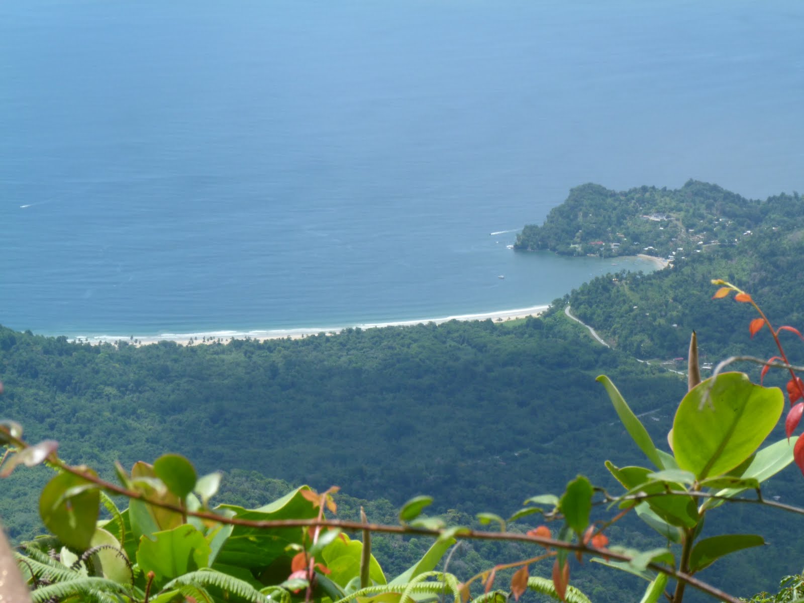 Amazonia The Adventure up El Tucuche...By Chris