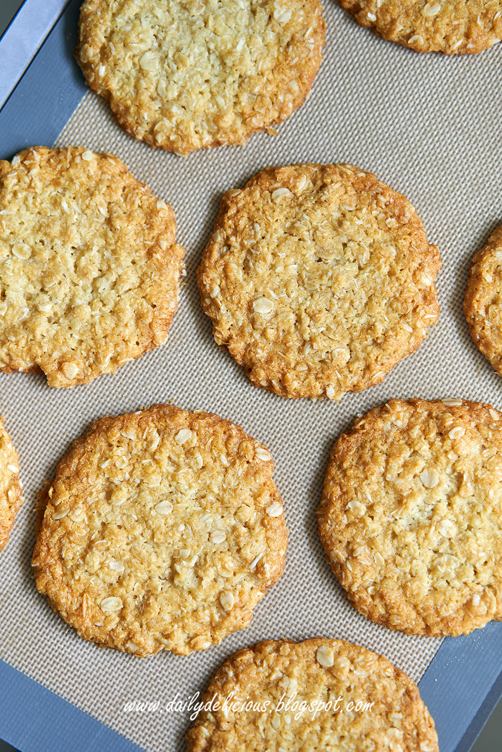 dailydelicious Oat & Coconut Cookies
