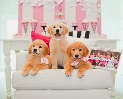 How to Host Ladies Night (Guest Post)