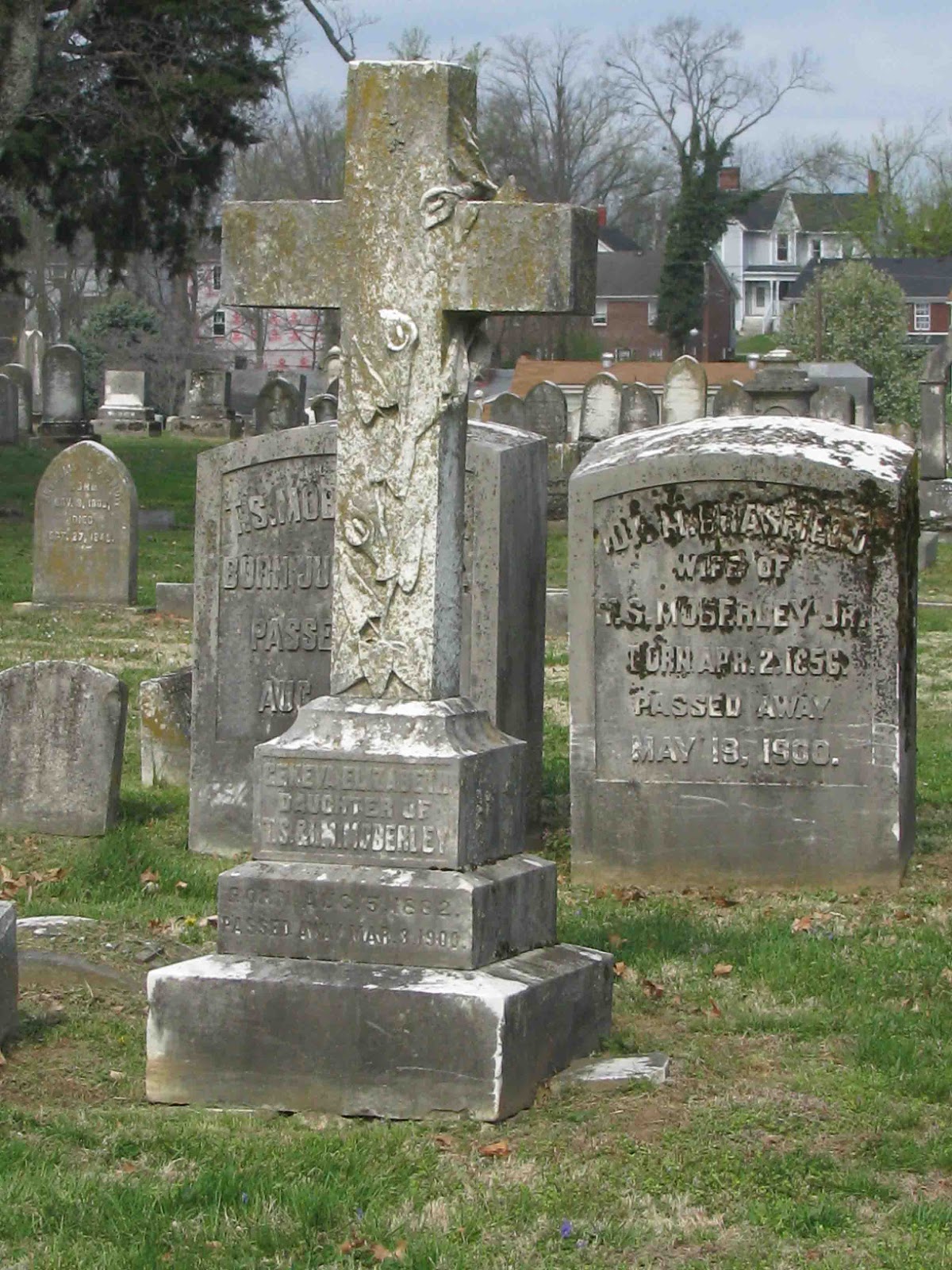 A Grave Interest The Different Types of Crosses in the Cemetery