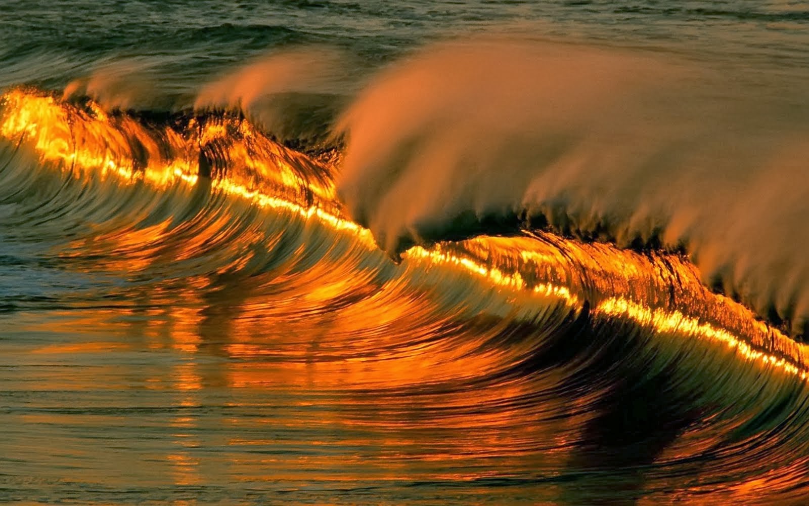 Beautiful Wallpaper: Latest 3d Desktop Wallpapers