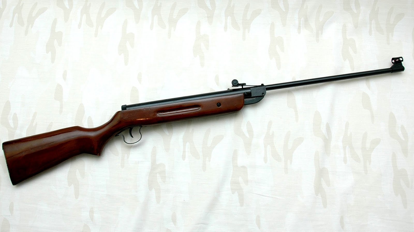 Air gun laws German German Choices