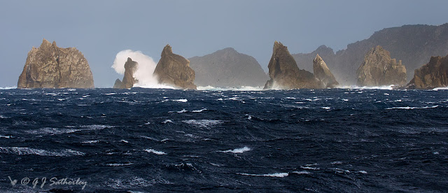 GeoGarage blog: Vendee Globe : crossing the subantarctic islands of New ...