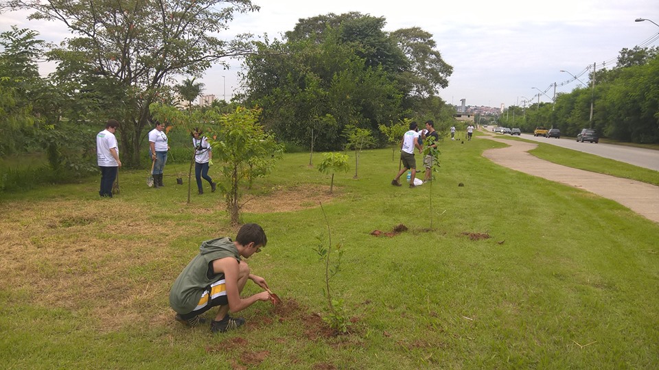 來自巴西的13名《鬥陣特攻》玩家發起了Ecopoint Brazil計畫，用植樹來為世界盡一份心力。