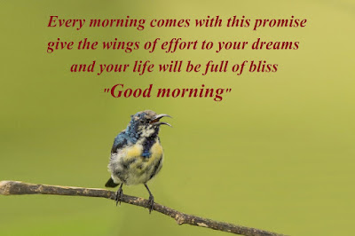Good Morning Message Good Morning Message