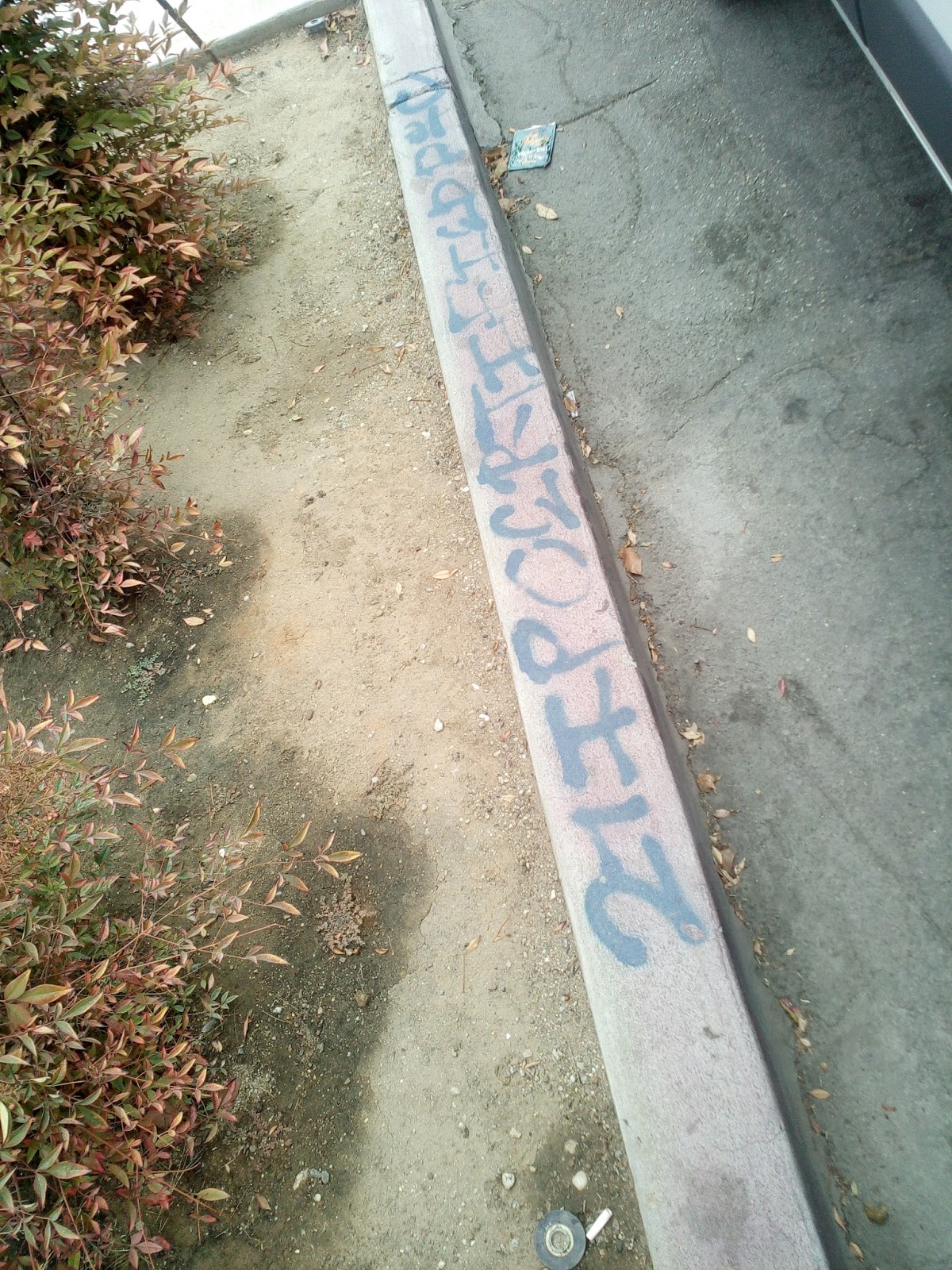 Long Beach Crips: Beyond The Stereotypes - trel236