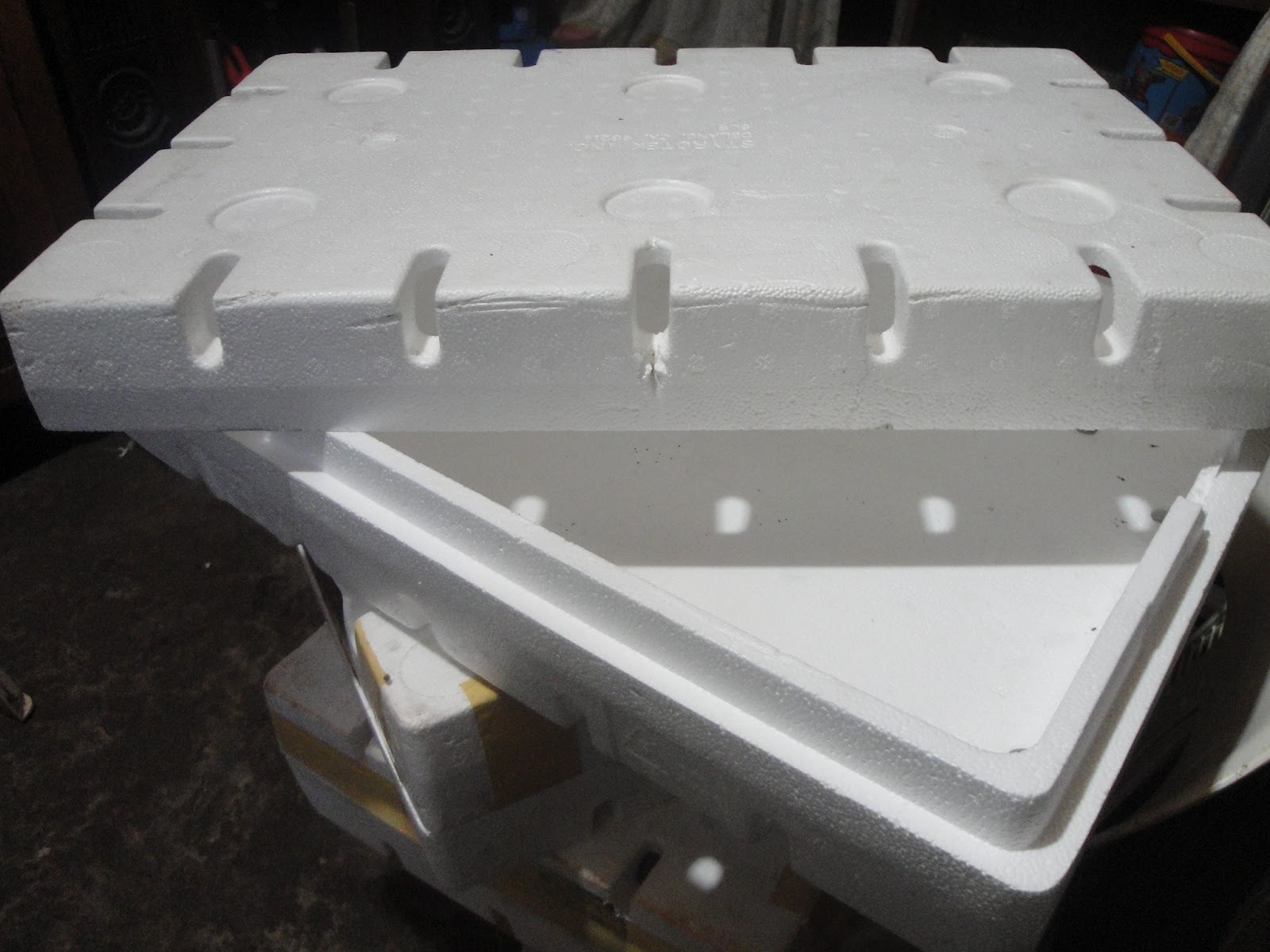 Jual box styrofoam bekas Anggur Hidroponik