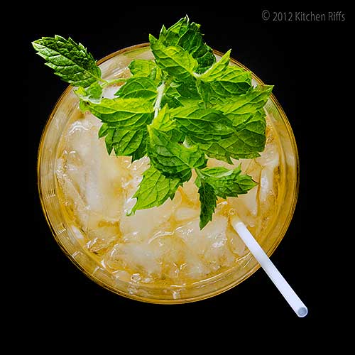 Stinger Cocktail Recipe - Refreshing Peppermint and Cognac Mixed Drink