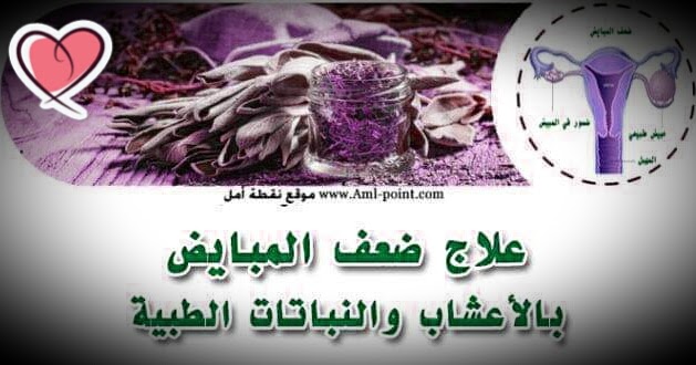 علاج ضعف المبايض بالاعشاب عالم المعرفة