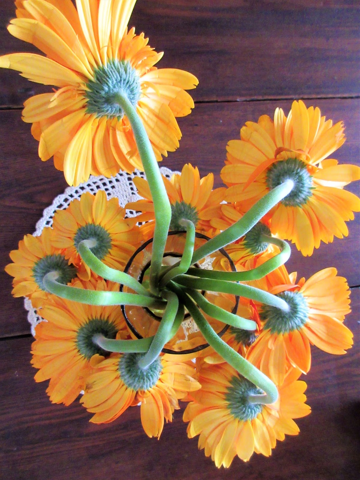 foziewisp Flaccid Floppy Flowers