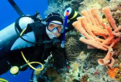 10 Gambar Objek Wisata Taman Lautan Bunaken, Harga Tiket Masuk – Wisata Terpopuler 10 Gambar Objek Wisata Taman Lautan Bunaken, Harga Tiket Masuk – Wisata Terpopuler