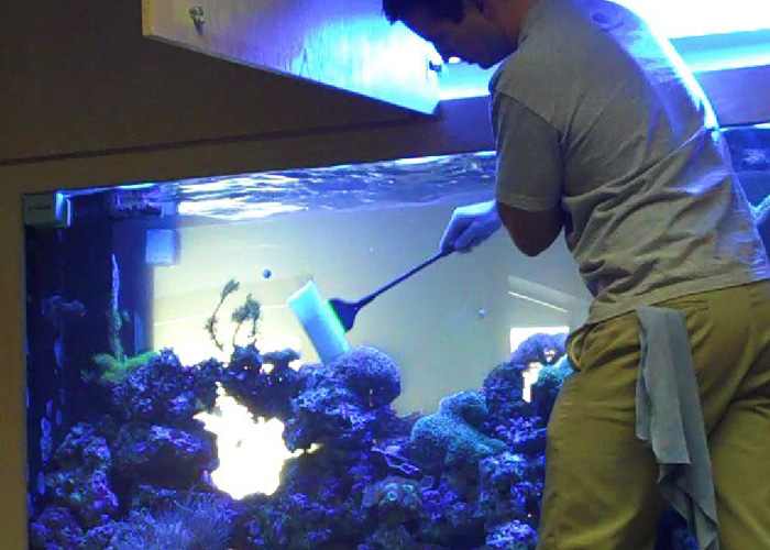 Business Ideas Small Business Ideas How to Start an Aquarium