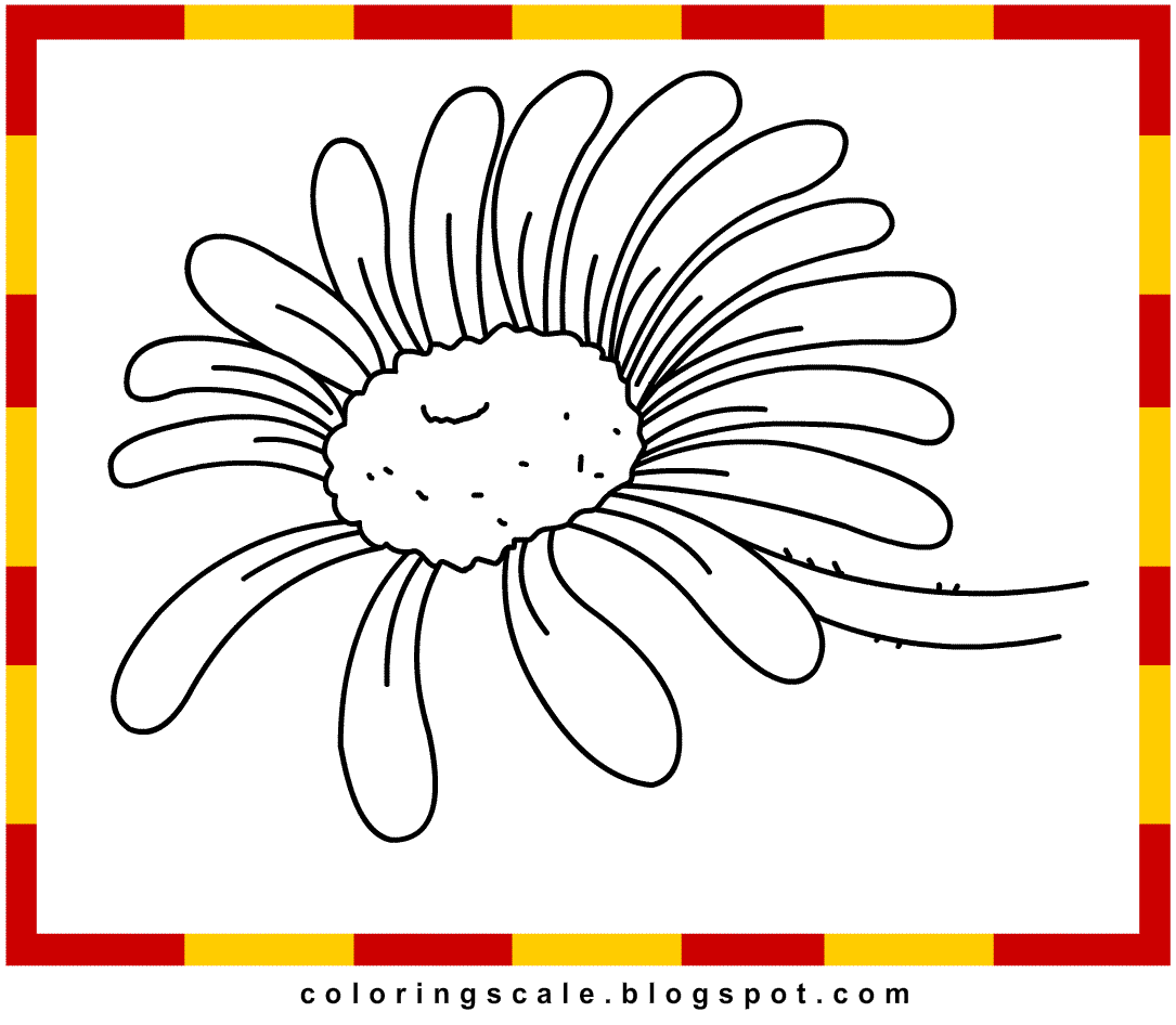 daisy petal coloring pages - photo #34