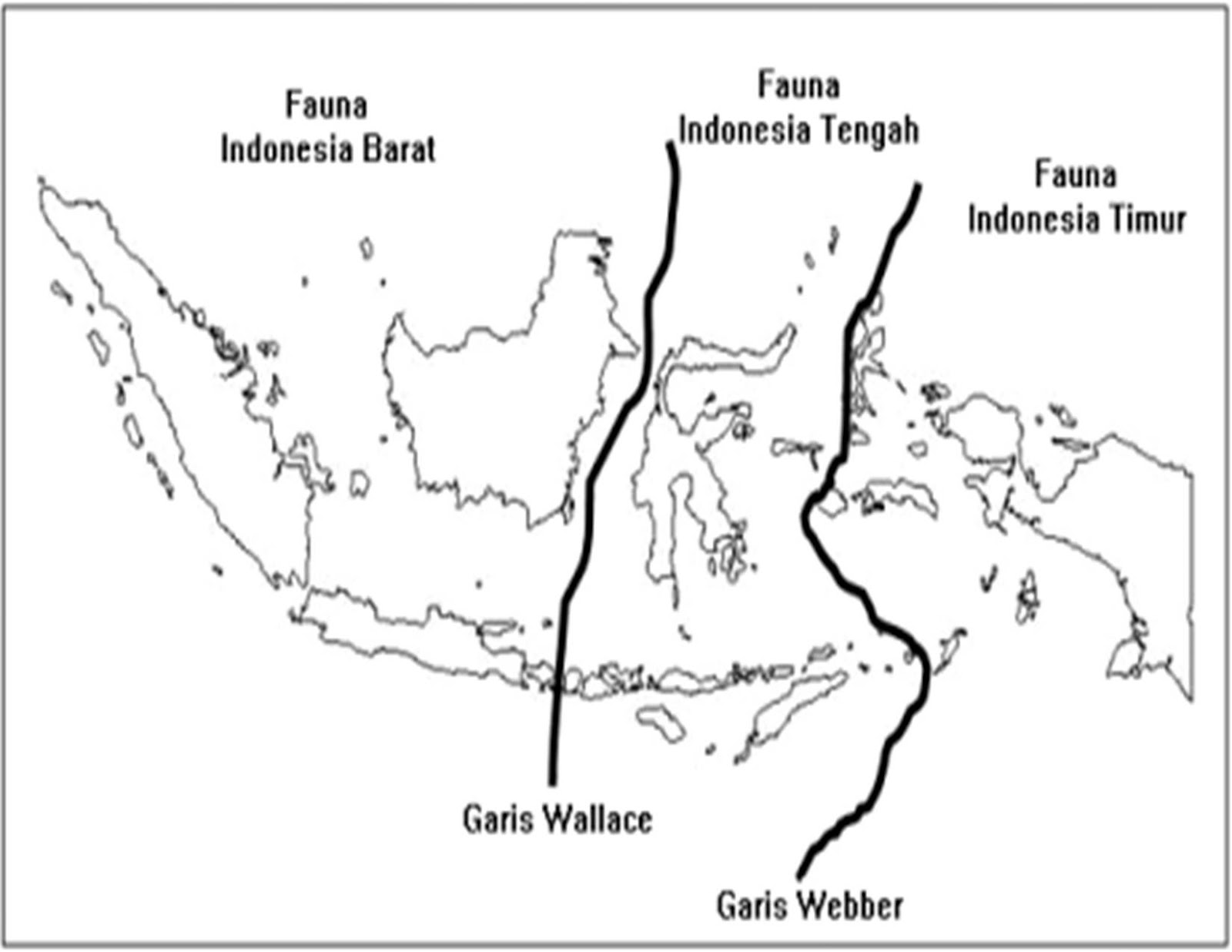 ra setiya Persebaran Flora  dan  Fauna  di  Indonesia  Kelas 5 SD