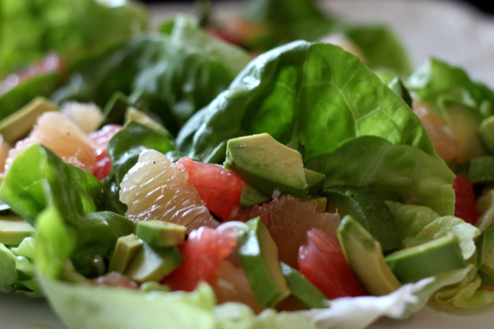 A Bountiful Kitchen Butter Lettuce, Grapefruit and Avocado Salad