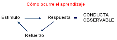 ESTÍMULOS EN EL SER HUMANO: ESTÍMULOS