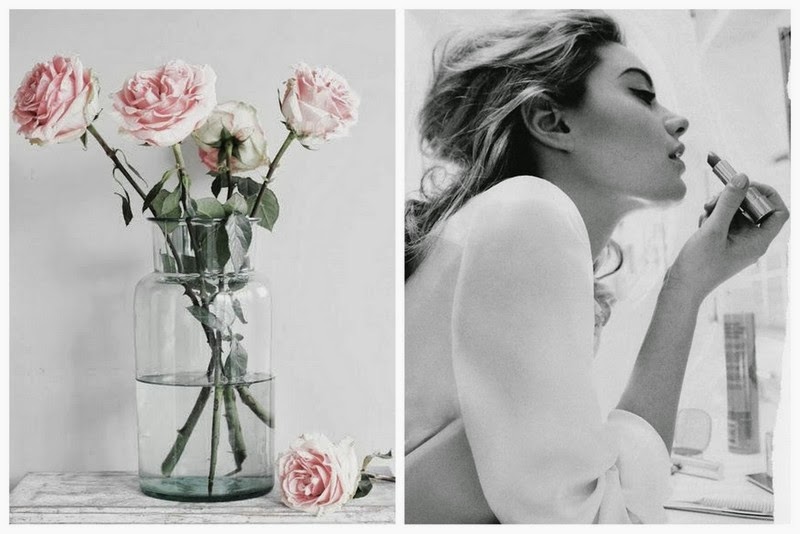 Pink Roses and Beauty  - Daily Inspiration 