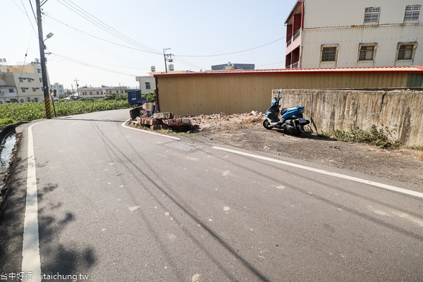 台中大肚中東海棗田、落羽松森林,壯觀挺拔又整齊像隧道,漂亮好拍 台中大肚中東海棗田、落羽松森林,壯觀挺拔又整齊像隧道,漂亮好拍