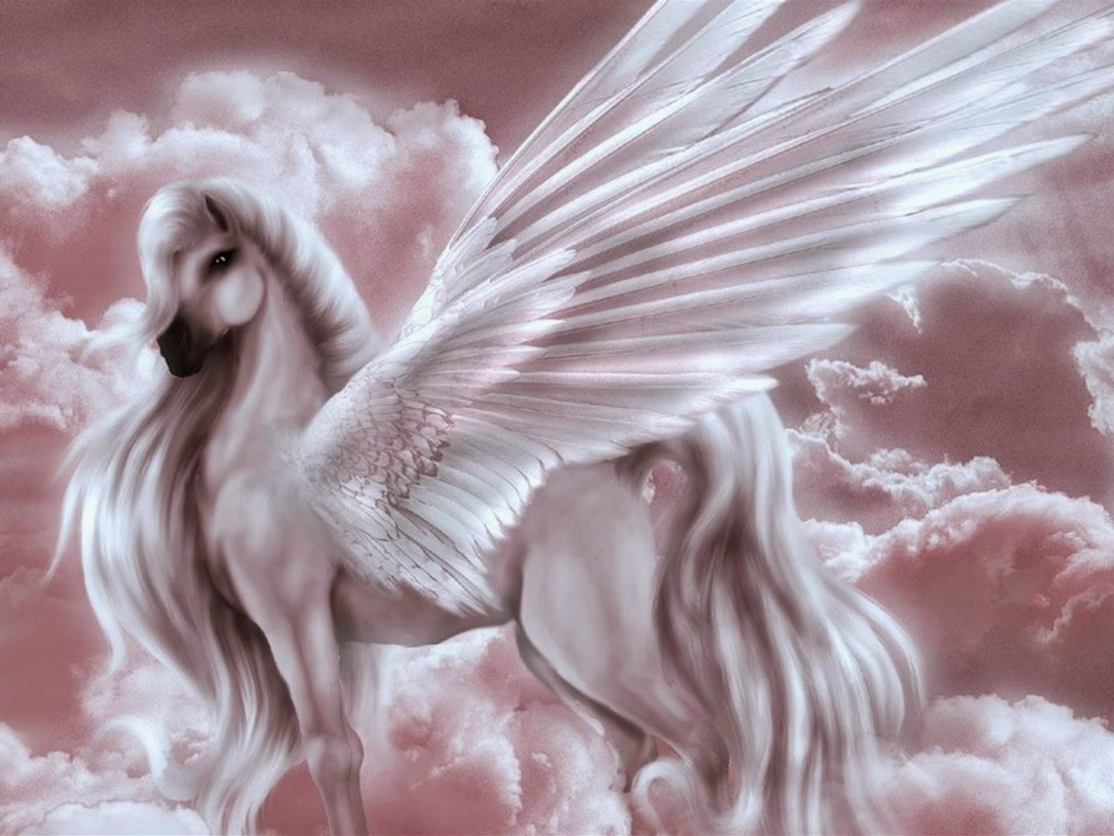 Luminiscencia REIKI PEGASO