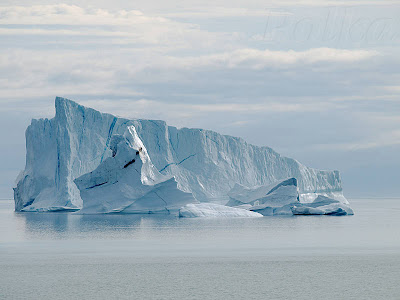 dans Scoresbysund au Groenland nord-est