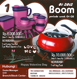 BOOM Tulipware | Januari - Februari 2012