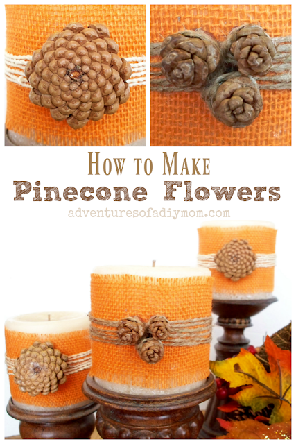 Learn to make flowers out of pine cones.