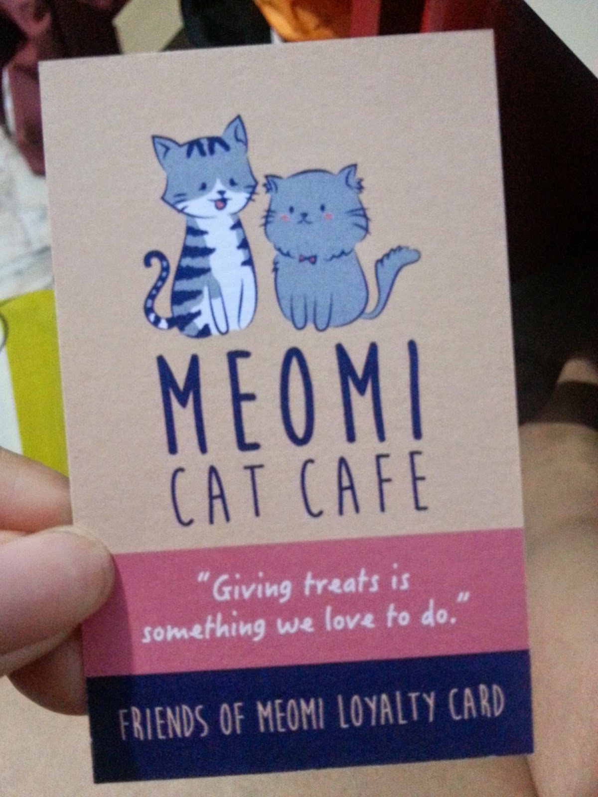 Meomi Cat Cafe  Burpple - 4 Reviews - Bugis, Singapore