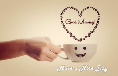 good morning good morning