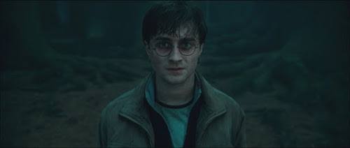 Bruxo do Mês de Julho: Harry Potter | Ordem da Fênix Brasileira