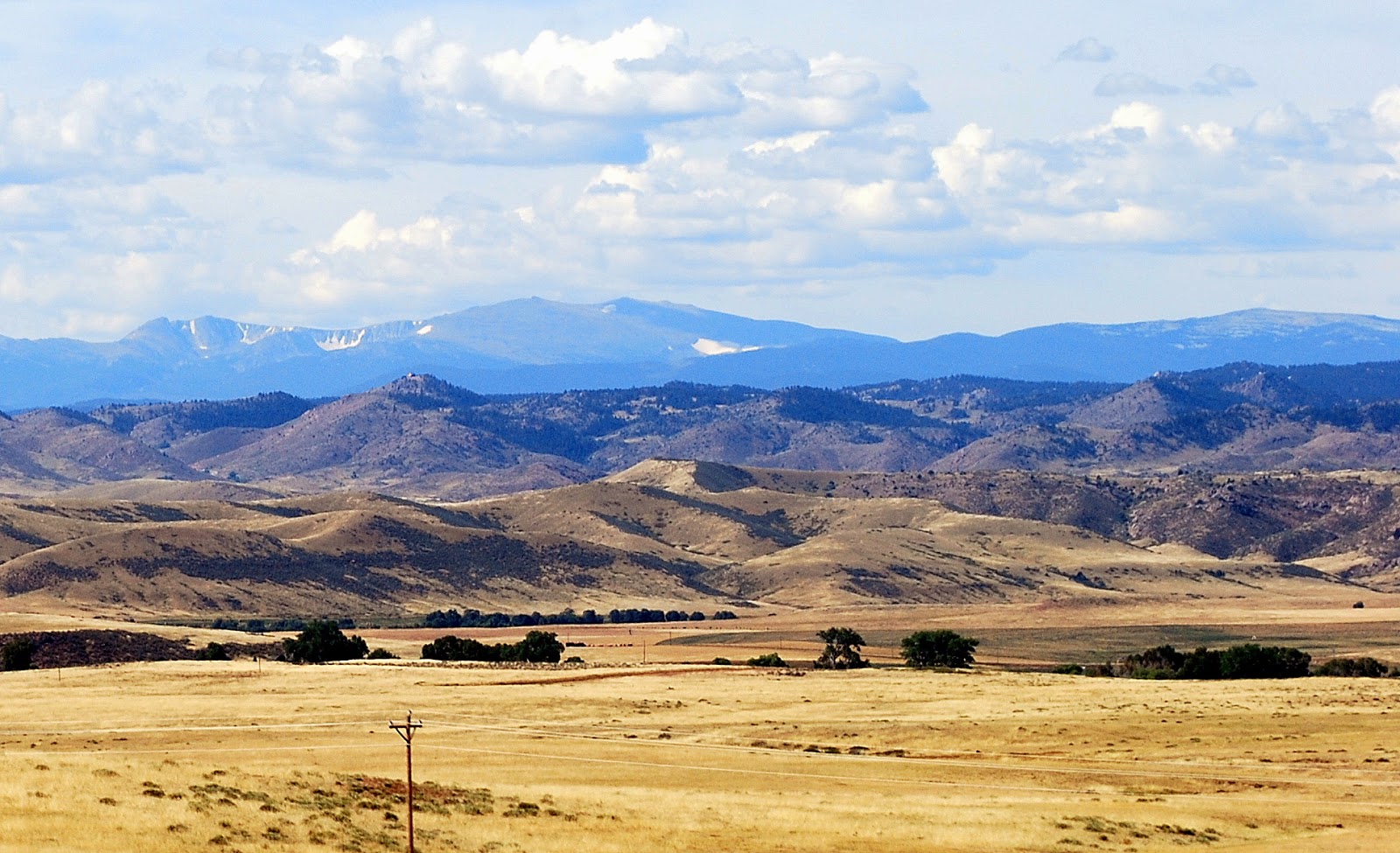 mille-fiori-favoriti-new-belgium-brewing-fort-collins-co