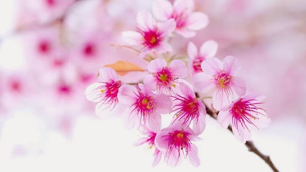 Những phương pháp giúp bạn nhớ toàn bộ kiến thức các môn xã hội Những phương pháp giúp bạn nhớ toàn bộ kiến thức các môn xã hội