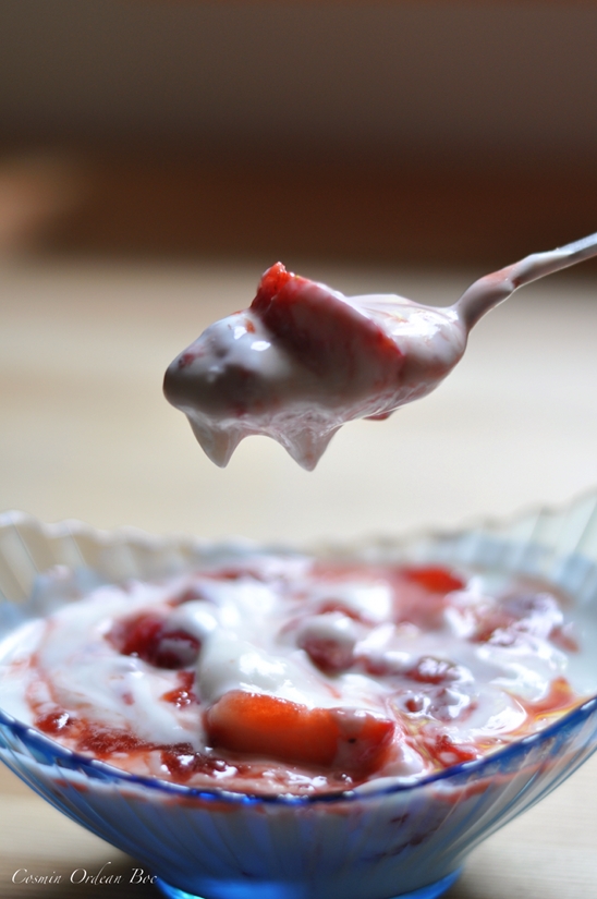 Iaurt cu capsuni si anason