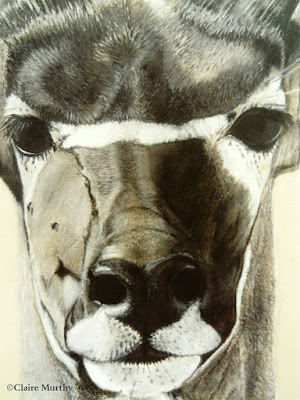 painting of an african antelope