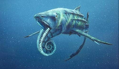 helicoprion23d.jpg