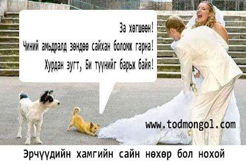 Mongol shaldan huuhnii zurag Mongol shaldan huuhnii zurag