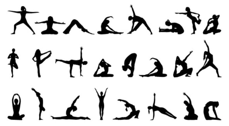 Media Pembelajaran Amandar Materi Pjok Bab 4 Sem 1 Senam Lantai