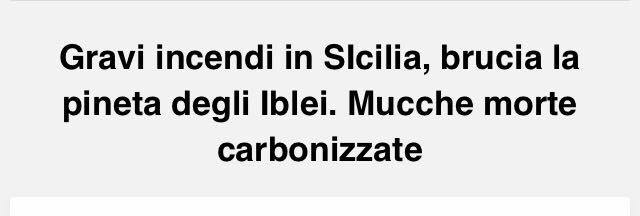 Futtitinni Quotidiano