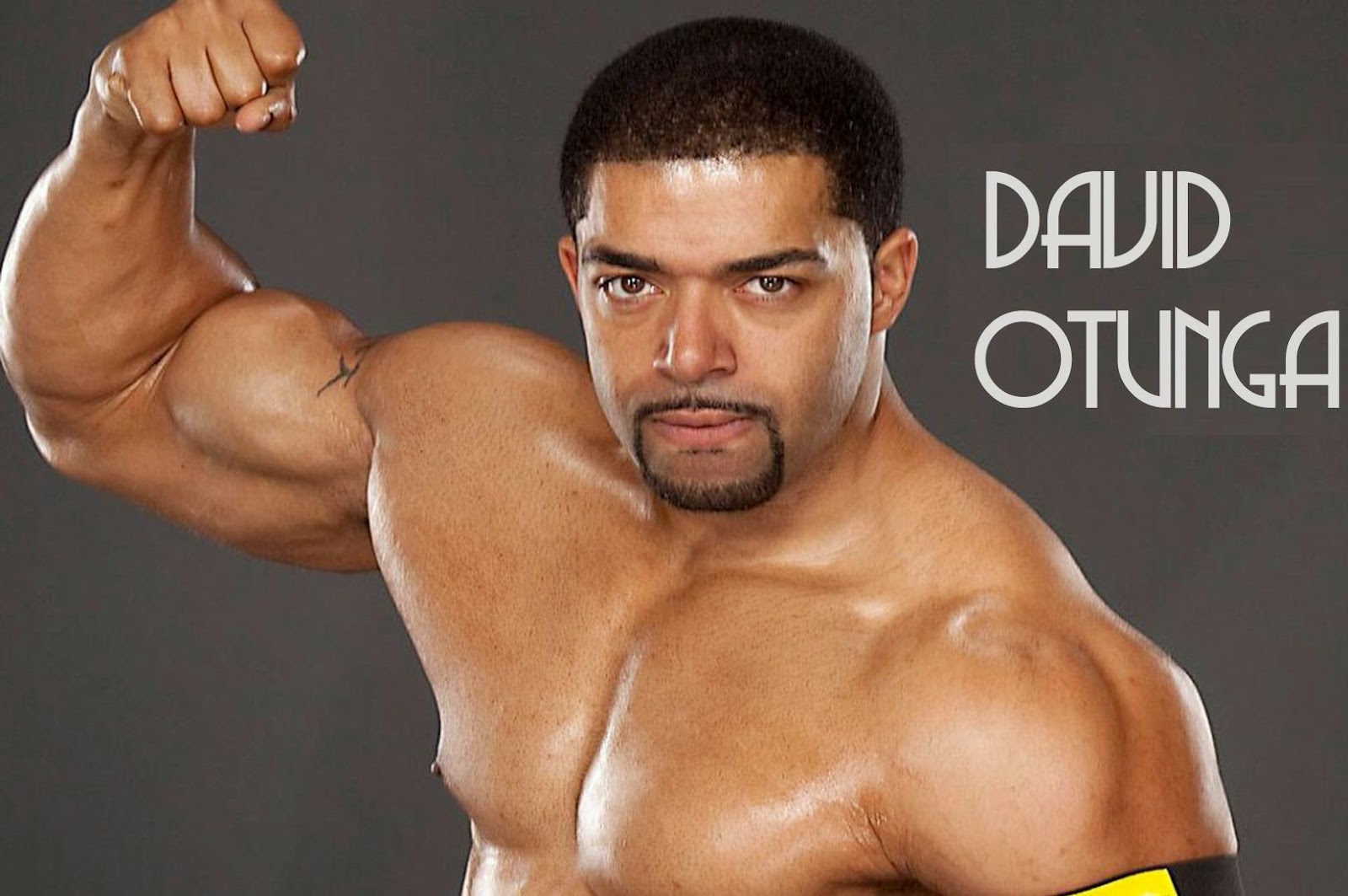 David Otunga HD Wallpapers | WWE HD WALLPAPER FREE DOWNLOAD