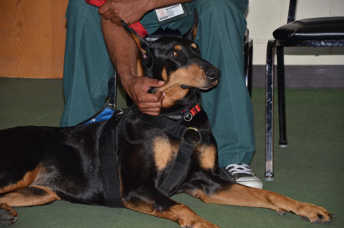 PRISON DOG PROGRAMS BRIDGES and PATHWAYS of COURAGE OSHKOSH