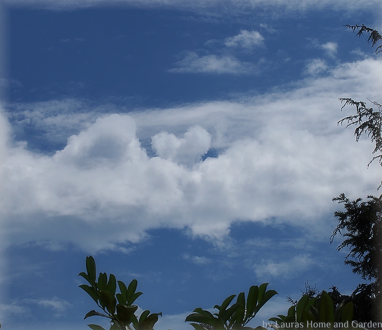 Http Www Katholische Akademie Dresden De Medien Dateien Dante Paradiso 11 170614 Pdf