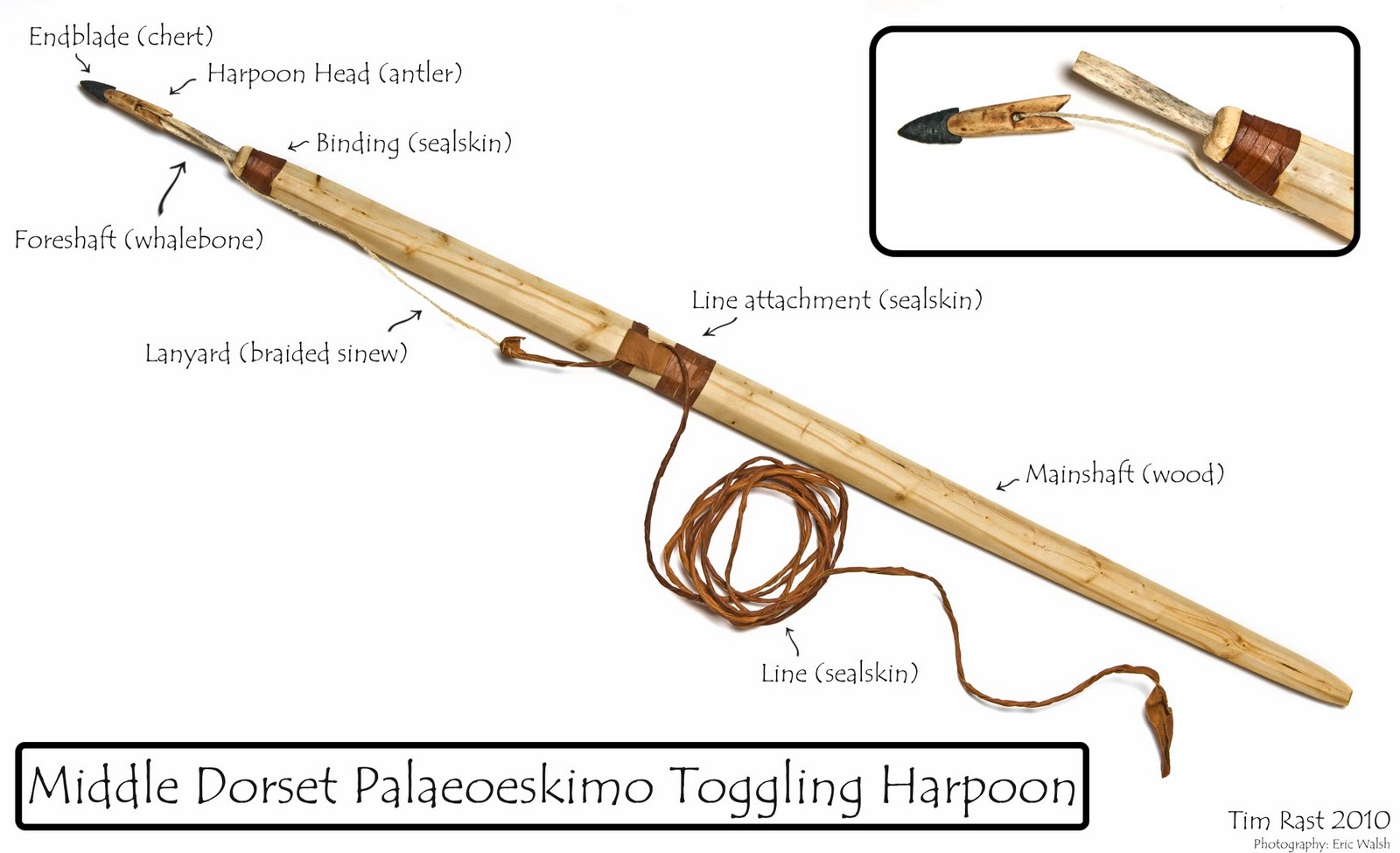 Elfshot Middle Dorset Palaeoeskimo Toggling Harpoon Graphic
